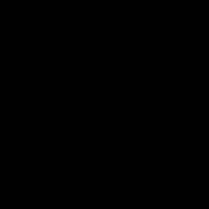 Meet your Posher, Jayden